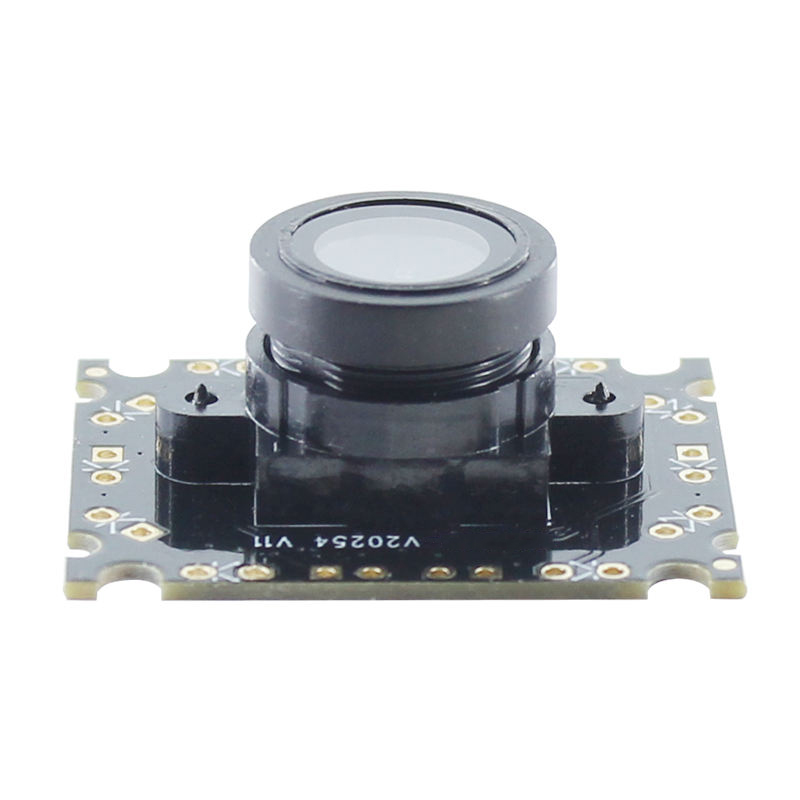 0.3MP face recognition camera module embedded built-in camera module